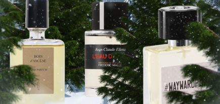 Хвоя, снег и лыжная мазь: 8 ароматов для зимы