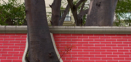 Прямая трансляция круизного шоу Louis Vuitton в Рио-де-Жанейро