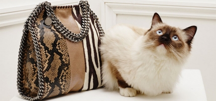Женщины и кошки в новом лукбуке Stella McCartney