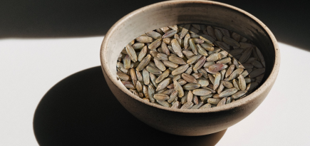 На завтрак и обед: самая полезная крупа