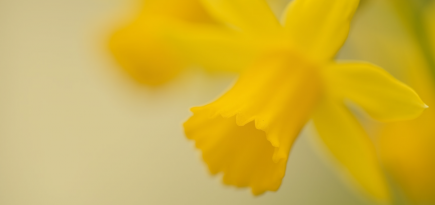 Вопрос психологу: что такое здоровый и нездоровый нарциссизм