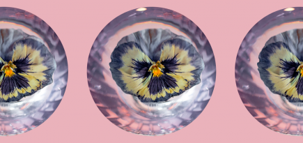 Бразильский Rio, кисло-сладкая «Воздвиженка» и новая классика: где пробовать коктейли в Москве