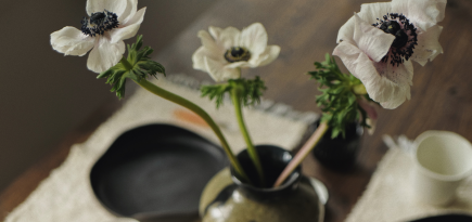 Как создается практичная и эстетичная мебель: история новоиспеченного проекта MoNa