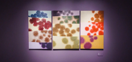 «Поля-двойники»: что смотреть на выставке Игоря Вулоха в фонде Ruarts