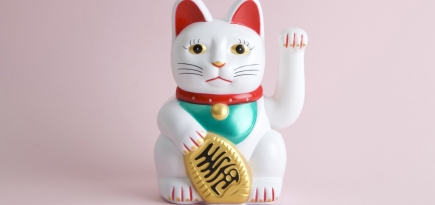 Почему я работаю, но денег все равно не хватает? Спросили у психолога