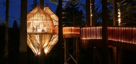 Ресторан на дереве Yellow Treehouse в Окленде