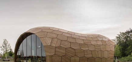 Выставочный зал из деревянных сот в Университете Штутгарта