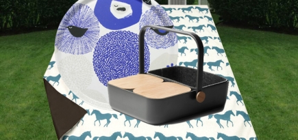 Время для пикника: 5 вещей, без которых вам не обойтись