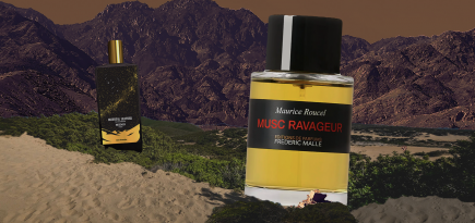 9 согревающих ароматов с корицей