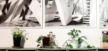 В «Манеже» открылась выставка современного искусства Москвы