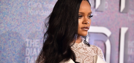 Рианна стала чрезвычайным и полномочным послом Барбадоса