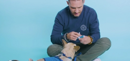 Том Харди записал видеоинтервью в компании собак из приюта