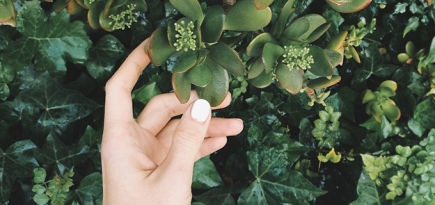 Пилинг, плазмолифтинг и другие способы омоложения рук