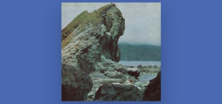 Группа Motorama выпустила новый альбом «Many Nights»