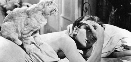 Маска для снов, охлаждающая подушка и другие гаджеты для расслабления