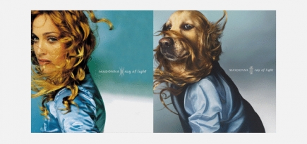 Французский фотограф повторил знаменитые снимки Мадонны с помощью своей собаки