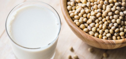 Молочные продукты: плюсы и минусы