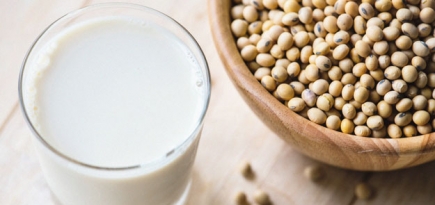 Молочные продукты: плюсы и минусы