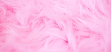 Власти Лос-Анджелеса запретят продажу натурального меха в городе