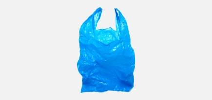 Грузия запретила производство и продажу небиоразлагаемых пластиковых пакетов