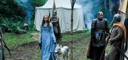 Более 70% жителей России не смотрели «Игру престолов» и не планируют этого делать