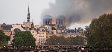 Пожар в соборе Парижской Богоматери потушен: что уцелело