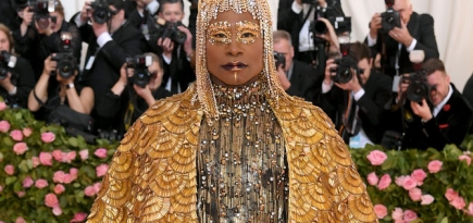 Met Gala: лучшие выходы бала Института костюма — 2019