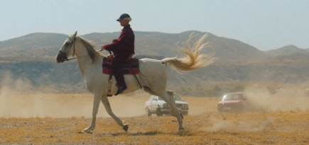 Лошади и автомобили из 90-х в видеолукбуке коллекции Palace x Ralph Lauren