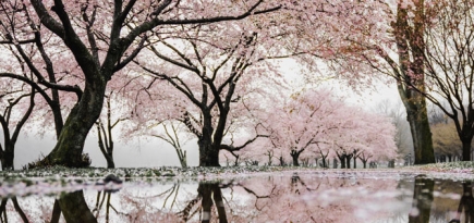 Музыка, под которую хочется гулять весной наедине с собой, — плейлист Buro.