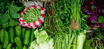 «ВкусВилл» запускает в Москве доставку готовых наборов еды