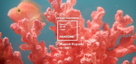 Pantone назвал главный цвет 2019 года
