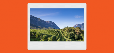 «Все важные события в Италии отмечаются за ланчем или ужином». Интервью с главой Lunelli Group Маттео Лунелли