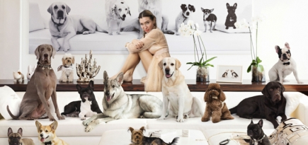 Дизайнер Элизабетта Франки представила свой благотворительный фонд