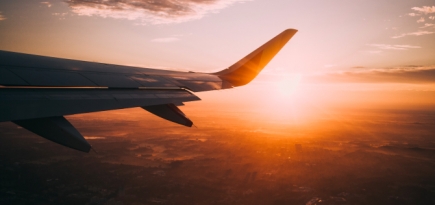 Несколько авиакомпаний отказались от алкоголя на борту на время пандемии COVID-19