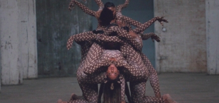 Благодаря Бейонсе принт Marine Serre с полумесяцами стал самым популярным узором 2020 года