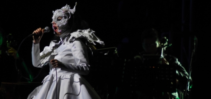 Этим летом Бьорк выступит в Москве