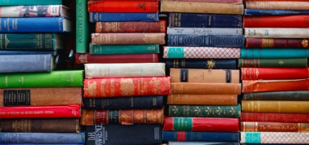 «Фаланстер» собирает книги для задержанных в ходе акций 23 и 31 января