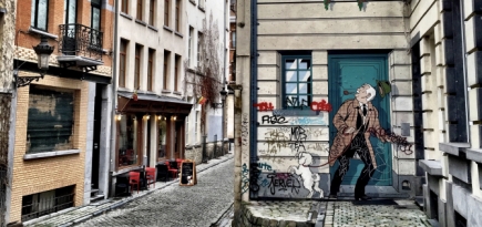 В Бельгии врачи предлагают переболевшим COVID-19 ходить в музеи в качестве реабилитации