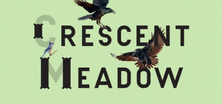 Фонд современного искусства Cartier представил онлайн-версию выставки о звуках природы