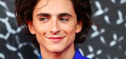 Тимоти Шаламе, Ариана Гранде и Леонардо Ди Каприо сыграют вместе в новой комедии Netflix