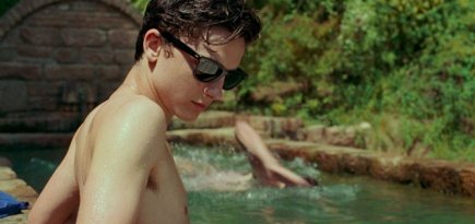 У Тимоти Шаламе было камео в мини-сериале Луки Гуаданьино «Мы те, кто мы есть»