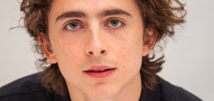 Тимоти Шаламе сыграет в спектакле в Лондоне