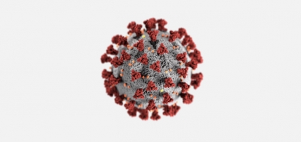 В десяти московских школах теперь можно сдать экспресс-тест на коронавирус