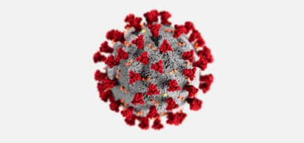 Появилось российское приложение для отслеживания контактов с больными COVID-19