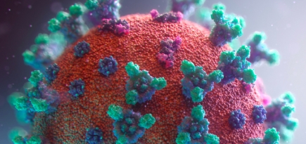 Центр «Вектор» опроверг информацию о появлении «московского» штамма COVID-19