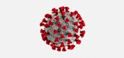 Роспотребнадзор считает, что Россия выйдет на плато по коронавирусу в начале декабря