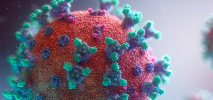 В Чехии обнаружен еще один штамм коронавируса