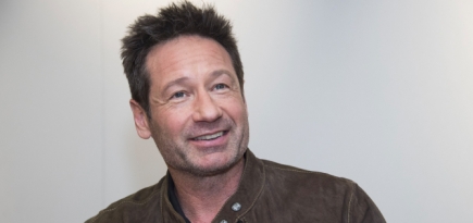 Дэвид Духовны снимется в сериале по своему роману о каскадере-многоженце, живущем в пустыне