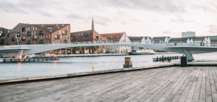 Дания стала первой страной Евросоюза, снявшей все коронавирусные ограничения