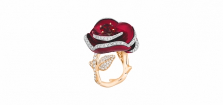 Dior выпустил новую ювелирную коллекцию, вдохновленную розами